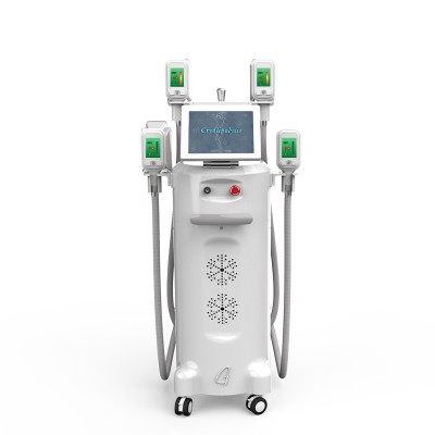 Beauty Salon Cryolipolysis Criolipolise Slimming Machine