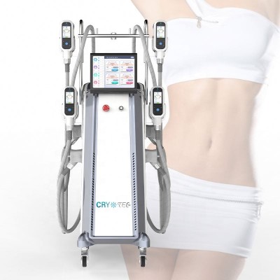 4D Criolipolisis Multifunction 360 Body Cooling Lose Weight Cryolipolisis Slimming Cryolipolysis Machine